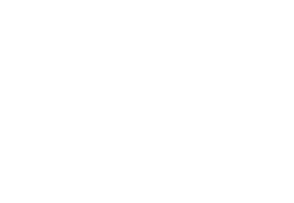 Fondazione Italia Digitale